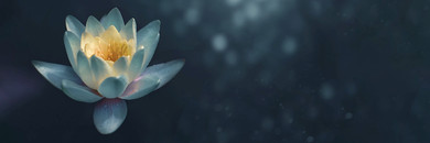 550W Pond Lilly Picture Prime Infrared Heating Panel 1200 x 400 - Electric Wall Panel Heater