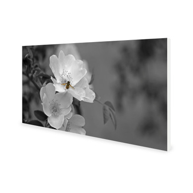 900W Pollination Picture Prime Infrared Heating Panel 1200 x 600 - Electric Wall Panel Heater