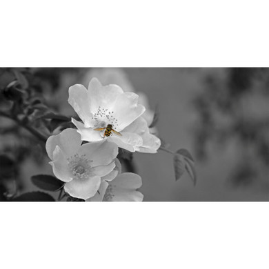 900W Pollination Picture Prime Infrared Heating Panel 1200 x 600 - Electric Wall Panel Heater