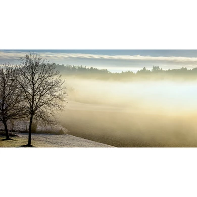 900W Spring Morning Picture Prime Infrared Heating Panel 1200 x 600 - Electric Wall Panel Heater