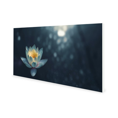 900W Pond Lilly Picture Prime Infrared Heating Panel 1200 x 600 - Electric Wall Panel Heater