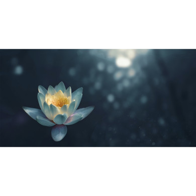 900W Pond Lilly Picture Prime Infrared Heating Panel 1200 x 600 - Electric Wall Panel Heater