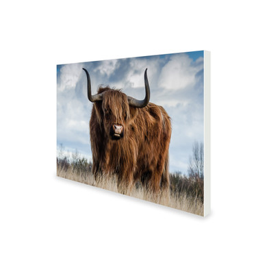 300W Highland Pride Picture Prime Infrared Heating Panel 600 x 400 - Electric Wall Panel Heater