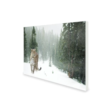 300W Persian Leopard Picture Prime Infrared Heating Panel 600 x 400 - Electric Wall Panel Heater