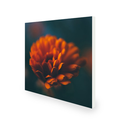 450W Flower Picture Prime Infrared Heating Panel 600 x 600 - Electric Wall Panel Heater