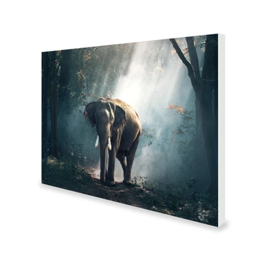 700W Jungle Elephant Picture Prime Infrared Heating Panel 900 x 600 - Electric Wall Panel Heater
