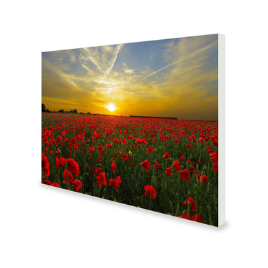 700W Setting Sun Picture Prime Infrared Heating Panel 900 x 600 - Electric Wall Panel Heater