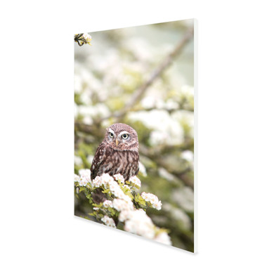 1100W Owl In The Spring Picture Prime Infrared Heating Panel 1100 x 700 - Electric Wall Panel Heater