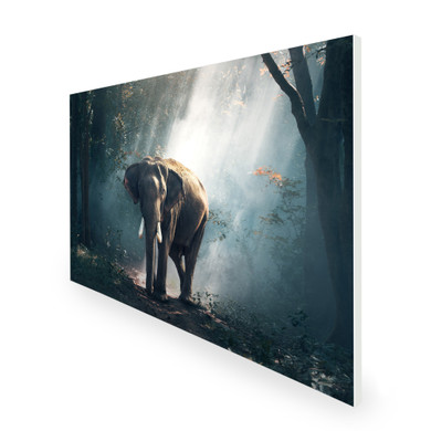 1100W Jungle Elephant Picture Prime Infrared Heating Panel 1100 x 700 - Electric Wall Panel Heater
