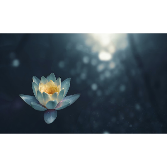 595x995 Pond Lilly Picture Nexus Wi-Fi Infrared Heating Panel 580W - Electric Wall Panel Heater