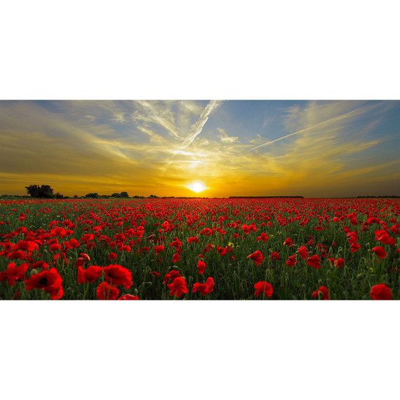 900W Setting Sun Picture Prime Infrared Heating Panel 1200 x 600 - Electric Wall Panel Heater