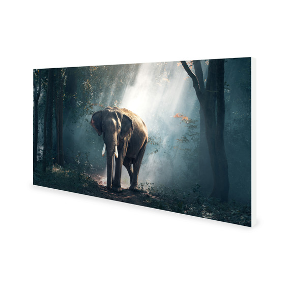 900W Jungle Elephant Picture Prime Infrared Heating Panel 1200 x 600 - Electric Wall Panel Heater