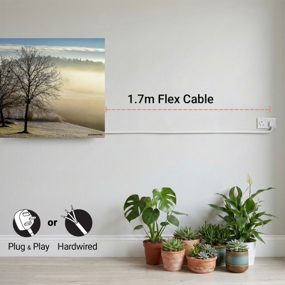 900W Spring Morning Picture Prime Infrared Heating Panel 1200 x 600 - Electric Wall Panel Heater