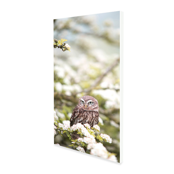 900W Owl In The Spring Picture Prime Infrared Heating Panel 1200 x 600 - Electric Wall Panel Heater