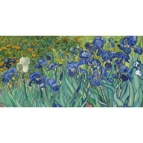 900W Irises Picture Prime Infrared Heating Panel 1200 x 600 - Electric Wall Panel Heater