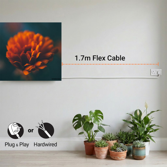 900W Flower Picture Prime Infrared Heating Panel 1200 x 600 - Electric Wall Panel Heater