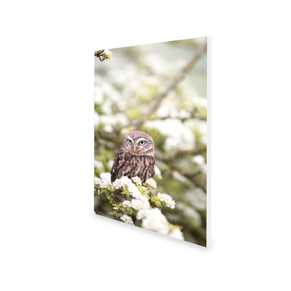 300W Owl In The Spring Picture Prime Infrared Heating Panel 600 x 400 - Electric Wall Panel Heater