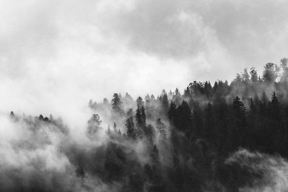 300W Clouded Trees Picture Prime Infrared Heating Panel 600 x 400 - Electric Wall Panel Heater