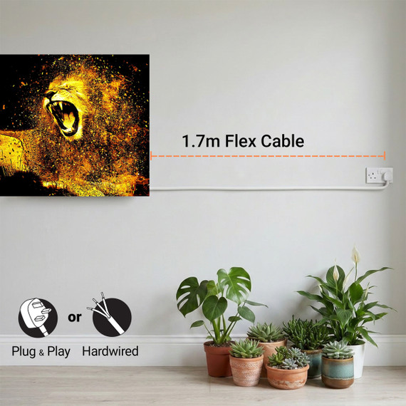 300W Roaring Lion Picture Prime Infrared Heating Panel 600 x 400 - Electric Wall Panel Heater