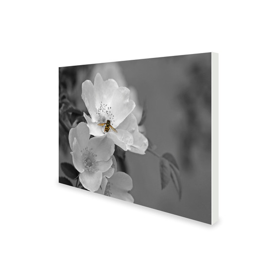 300W Pollination Picture Prime Infrared Heating Panel 600 x 400 - Electric Wall Panel Heater