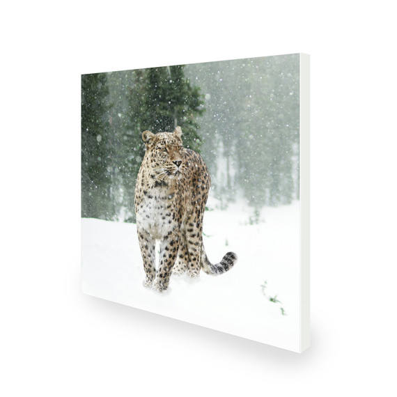 450W Persian Leopard Picture Prime Infrared Heating Panel 600 x 600 - Electric Wall Panel Heater