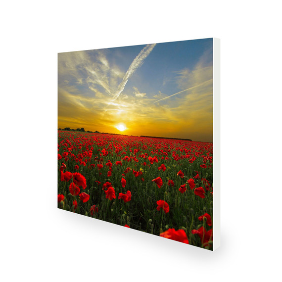 450W Setting Sun Picture Prime Infrared Heating Panel 600 x 600 - Electric Wall Panel Heater