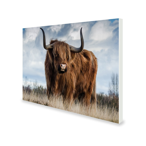 700W Highland Pride Picture Prime Infrared Heating Panel 900 x 600 - Electric Wall Panel Heater