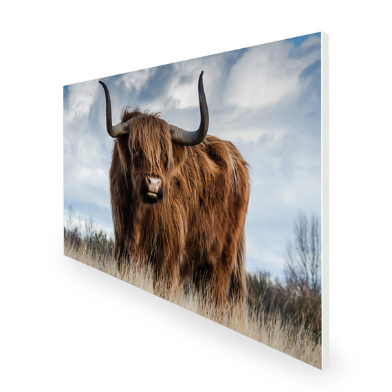 1100W Highland Pride Picture Prime Infrared Heating Panel 1100 x 700 - Electric Wall Panel Heater