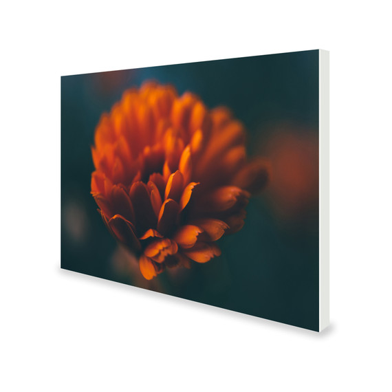 700W Flower Picture Prime Infrared Heating Panel 900 x 600 - Electric Wall Panel Heater