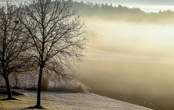 1100W Spring Morning Picture Prime Infrared Heating Panel 1100 x 700 - Electric Wall Panel Heater