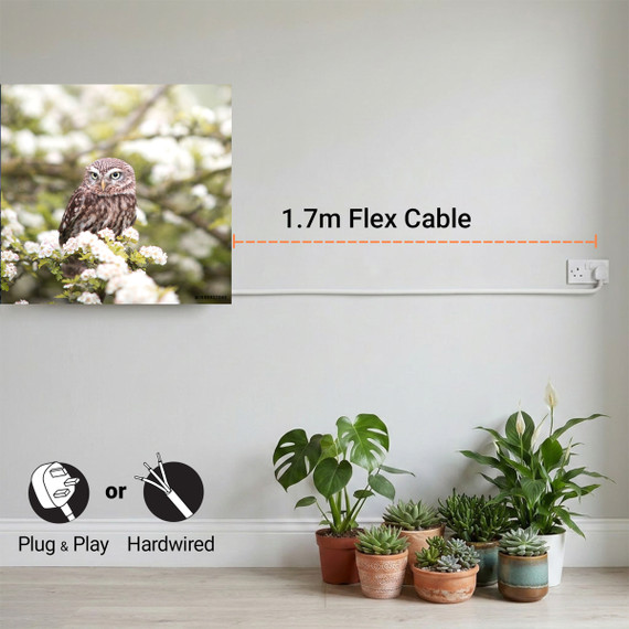 1100W Owl In The Spring Picture Prime Infrared Heating Panel 1100 x 700 - Electric Wall Panel Heater
