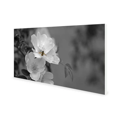 BRAND NEW - 900W Pollination Picture Prime Infrared Heating Panel 1200 x 600 - Electric Wall Panel Heater