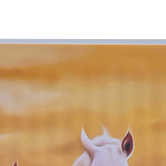 GRADE C - 700W Heavenly Horses Nexus Infrared Heating Panel - Electric Panel Heater