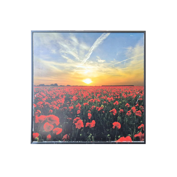GRADE C - 350W Setting Sun Classic  Infrared Heating Panel - Electric Panel Heater Black Frame