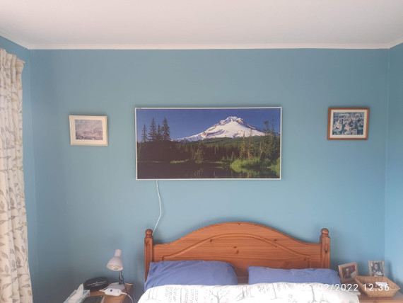 595X995 Highland Pride Picture Nexus Wi-Fi Infrared Heating Panel 580W - Electric Wall Panel Heater