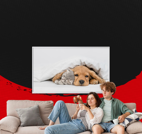 Custom Image IR Panels