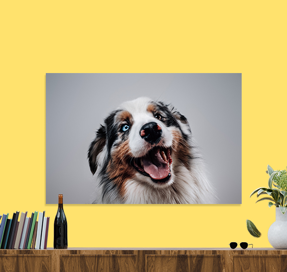 Custom Image IR Panels