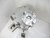 30/0.33-50/50-BW STAINLESS STEEL lobe rotary pump gea hilge novalobe