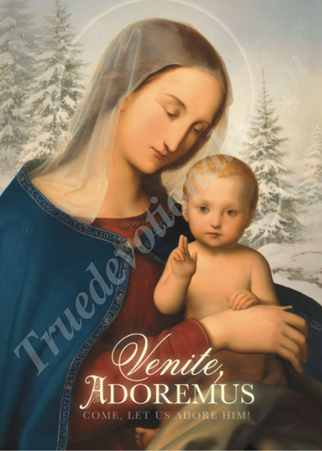 Infant Blessing - Set of 12 Christmas Cards