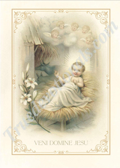 Domine Jesu Manger Christmas Cards
