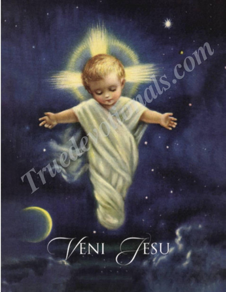 Infant Jesus Note Cards