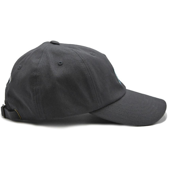 Montfort Catholic Cap - Gray (Adjustable)