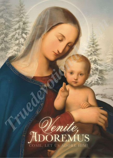 Infant Blessing - Set of 12 Christmas Cards