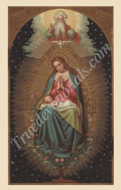 St. Andrew's Novena Holy Card - Virgin & Child (Bulk)