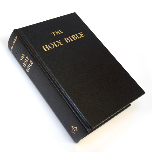 The Holy Bible Douay Rheims Version