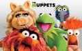 The Muppets