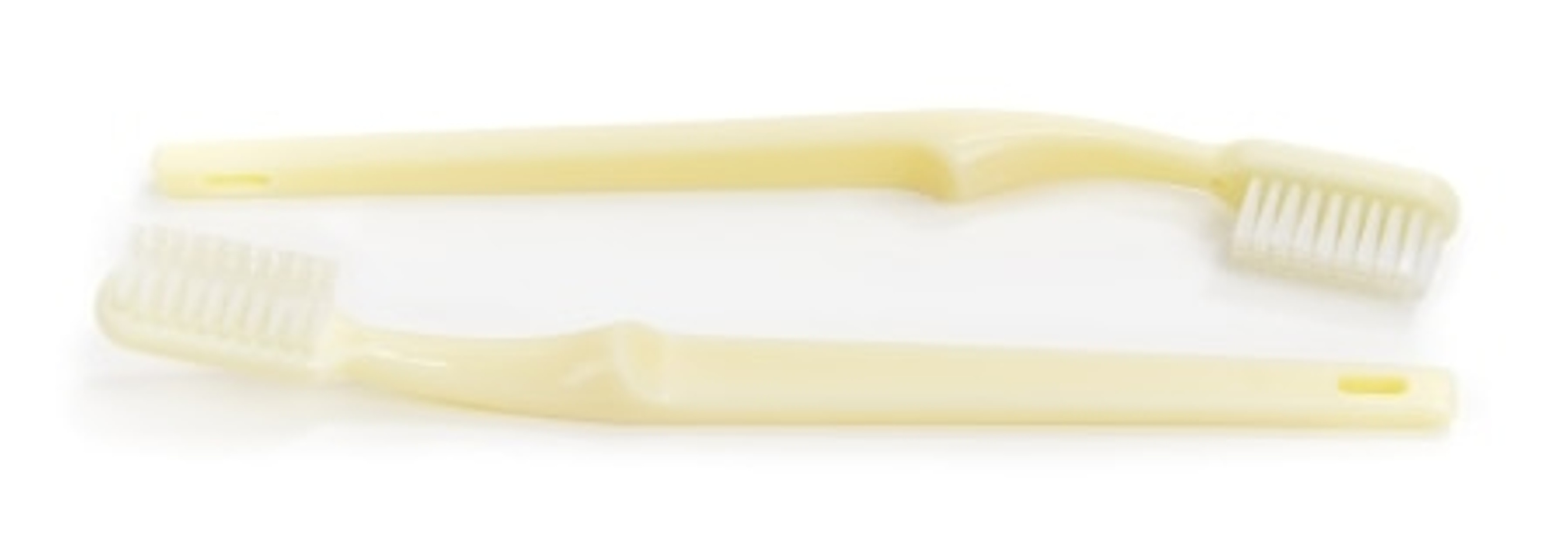 McKesson Toothbrush, Adult