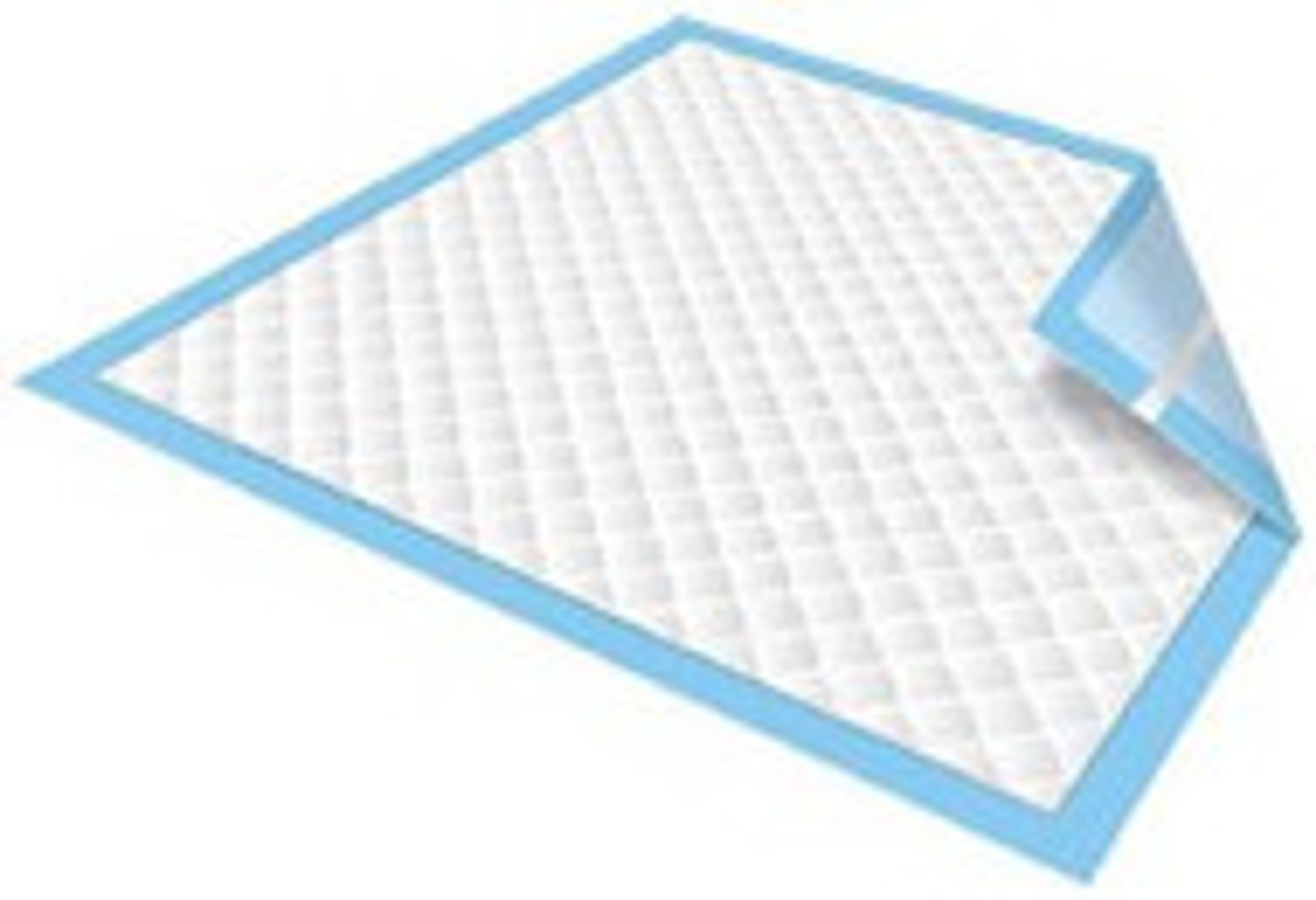 Secure Personal Care Products Disposable Underpad, Heavy Absorbency