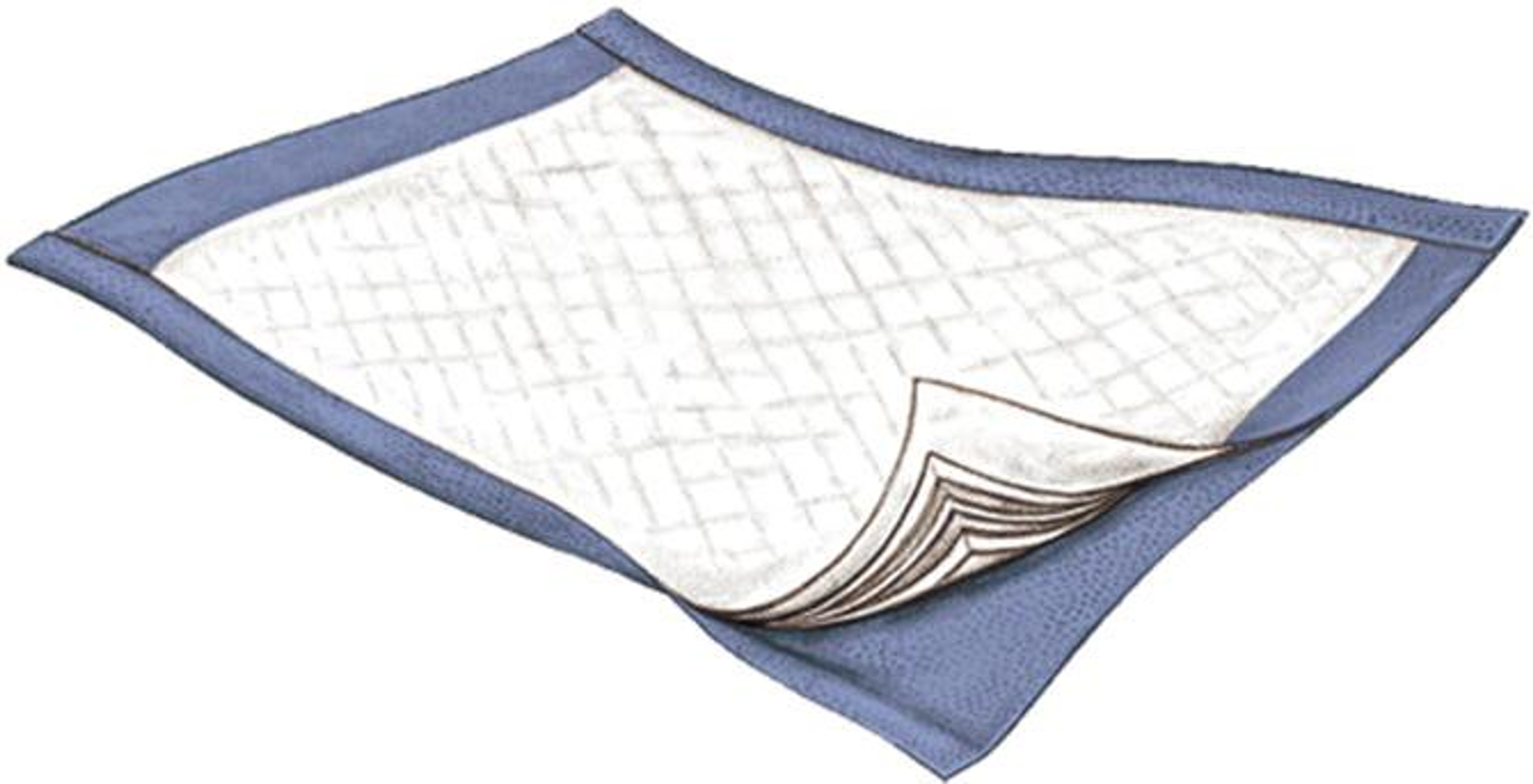 Passport Disposable Underpad, Light Absorbency