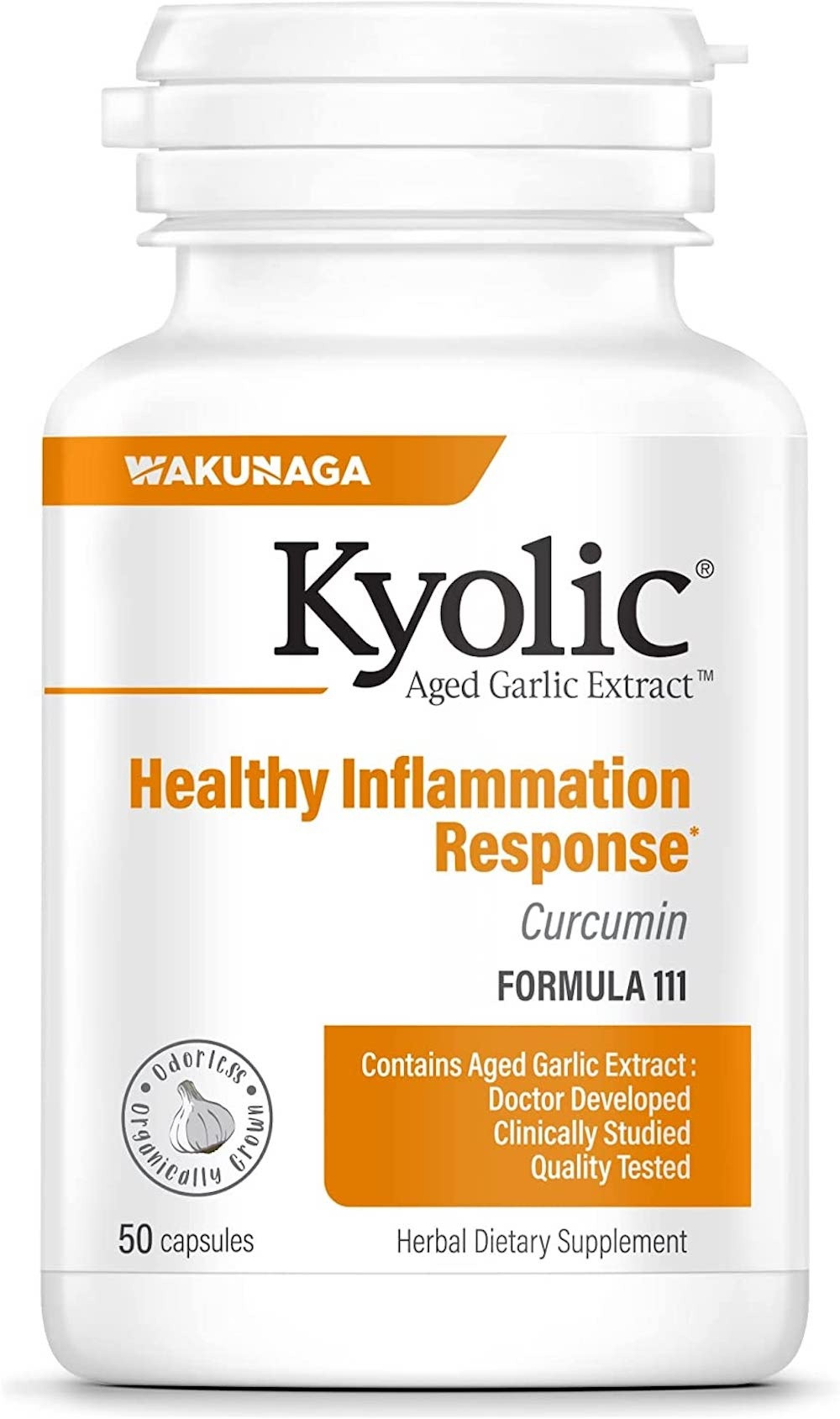 Kyolic Aged Garlic Extract Curcumin